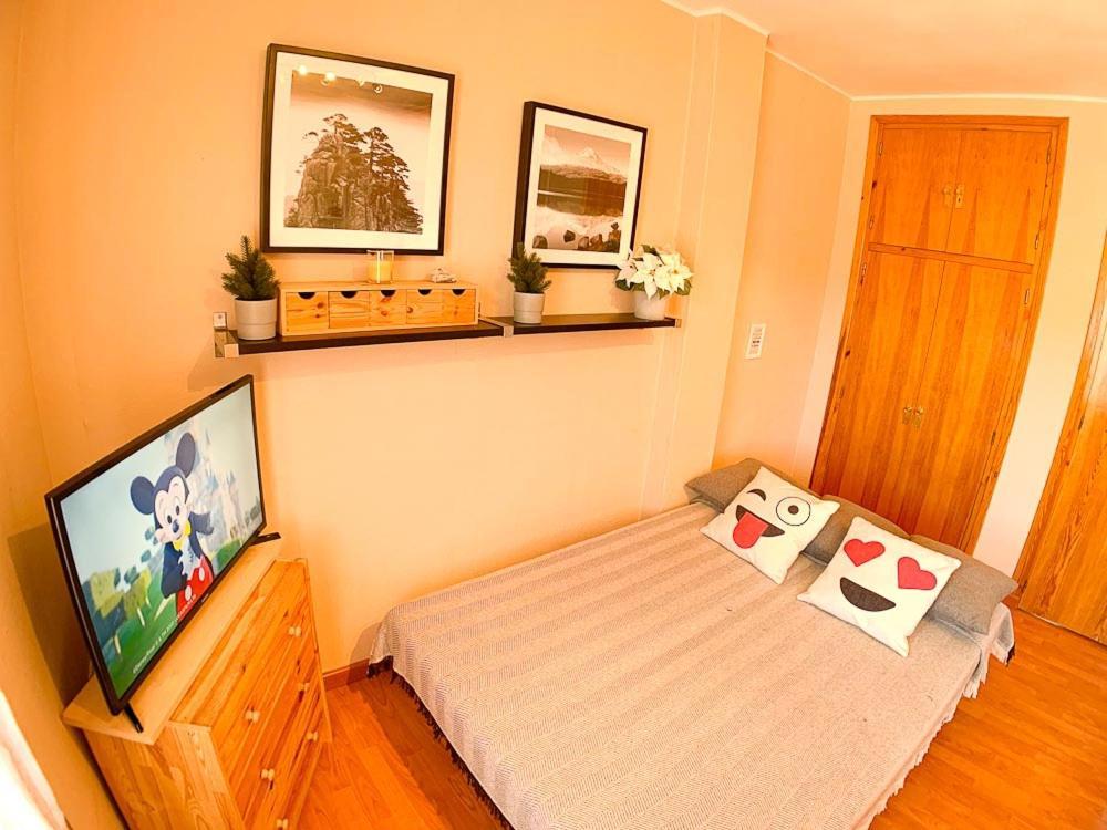 Apartment Apartamentos Formigal Formigal